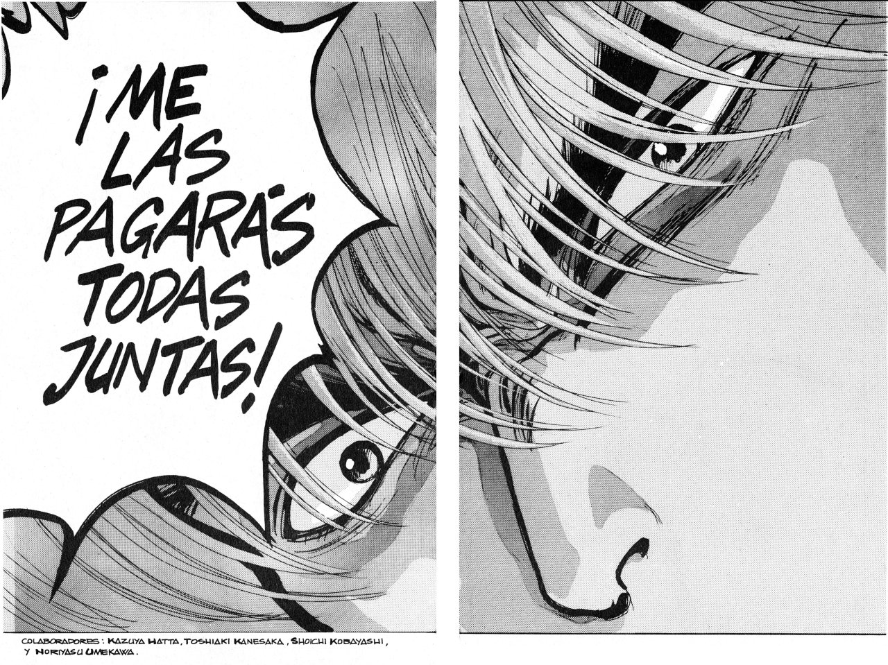 Read Bastard!! ES Manga Online