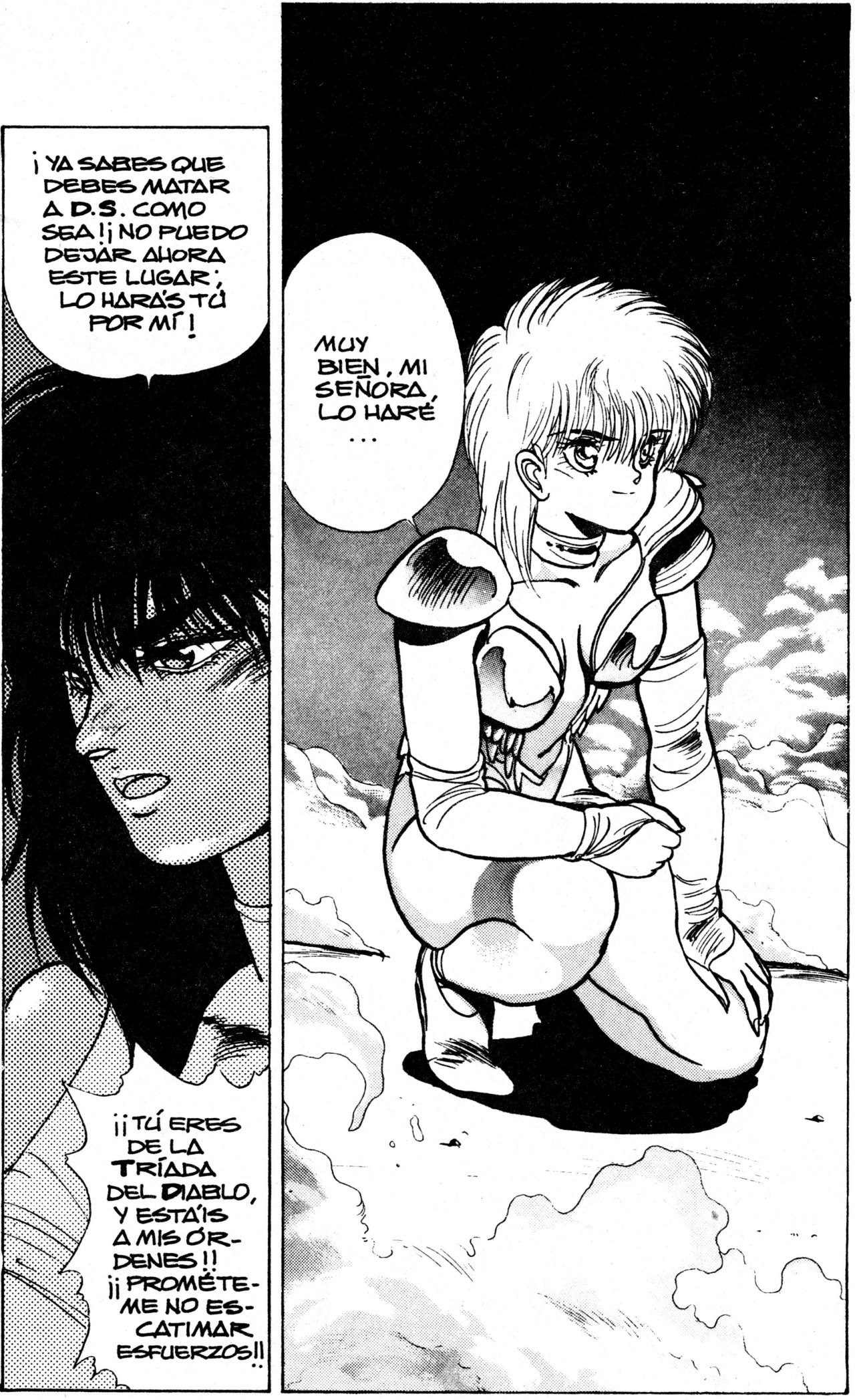 Read Bastard!! ES Manga Online