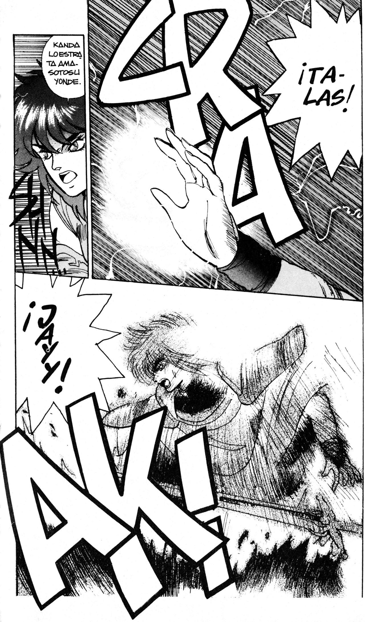 Read Bastard!! ES Manga Online
