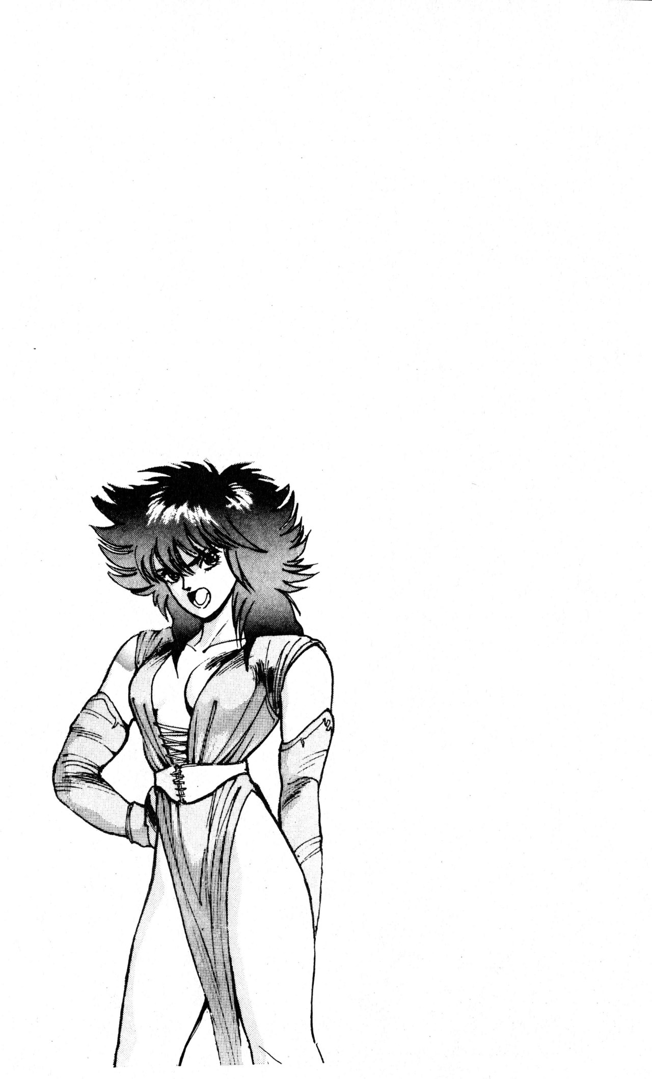 Read Bastard!! ES Manga Online