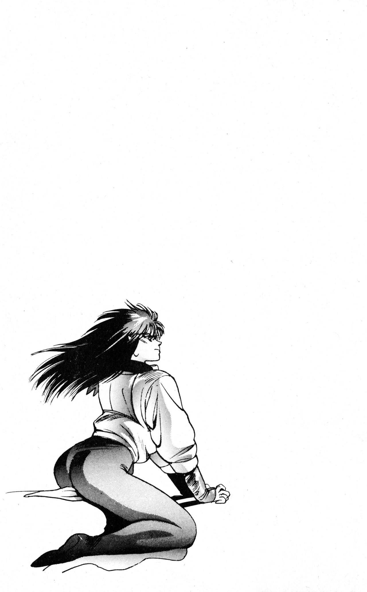 Read Bastard!! ES Manga Online