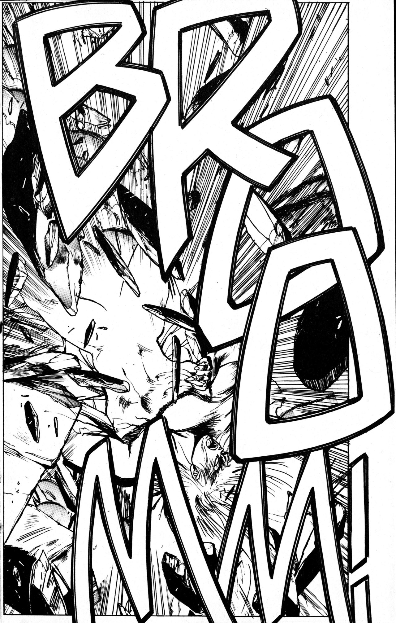 Read Bastard!! ES Manga Online