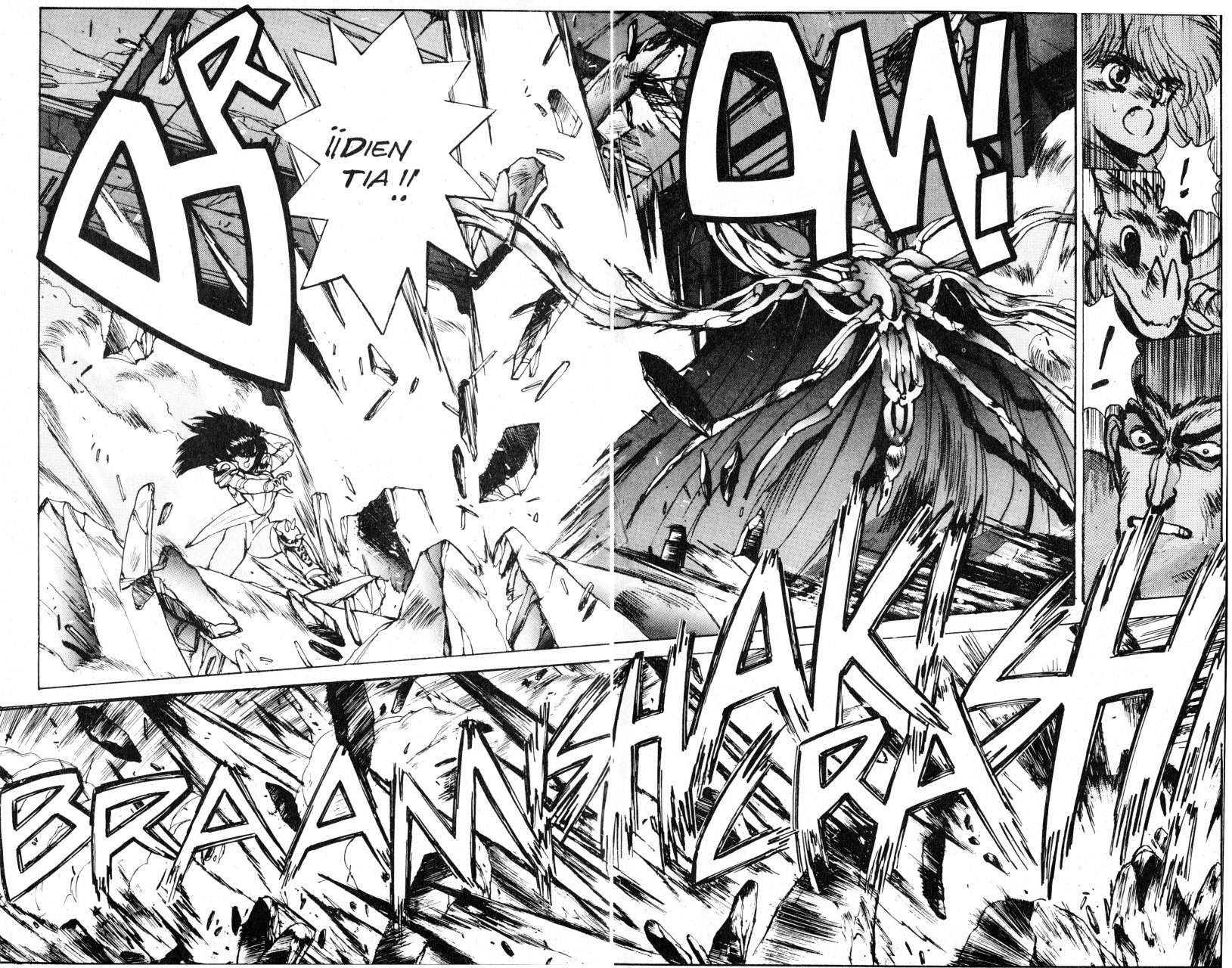 Read Bastard!! ES Manga Online