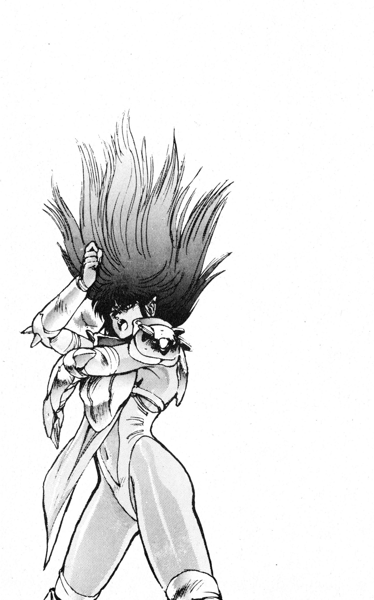 Read Bastard!! ES Manga Online