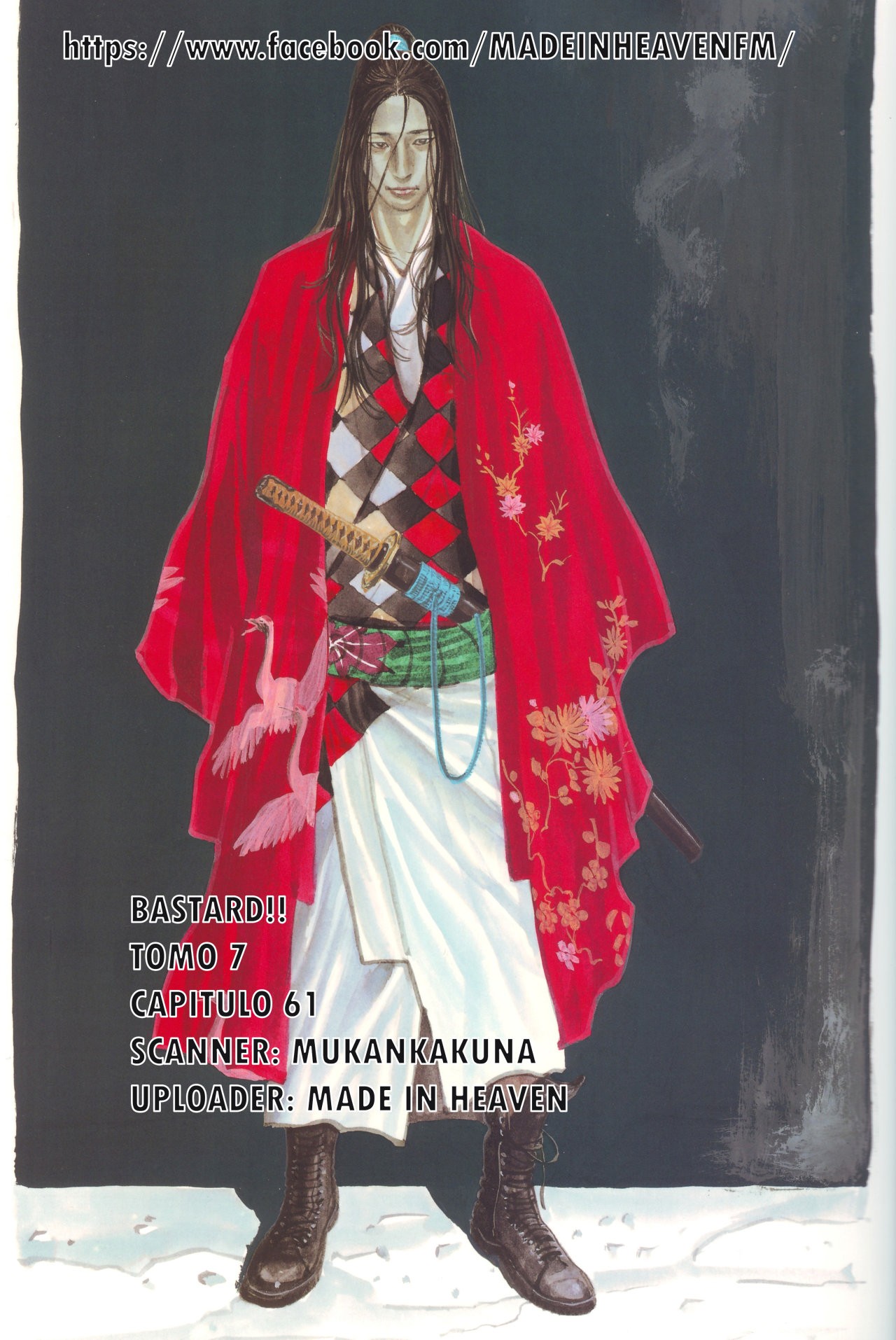 Read Bastard!! ES Manga Online