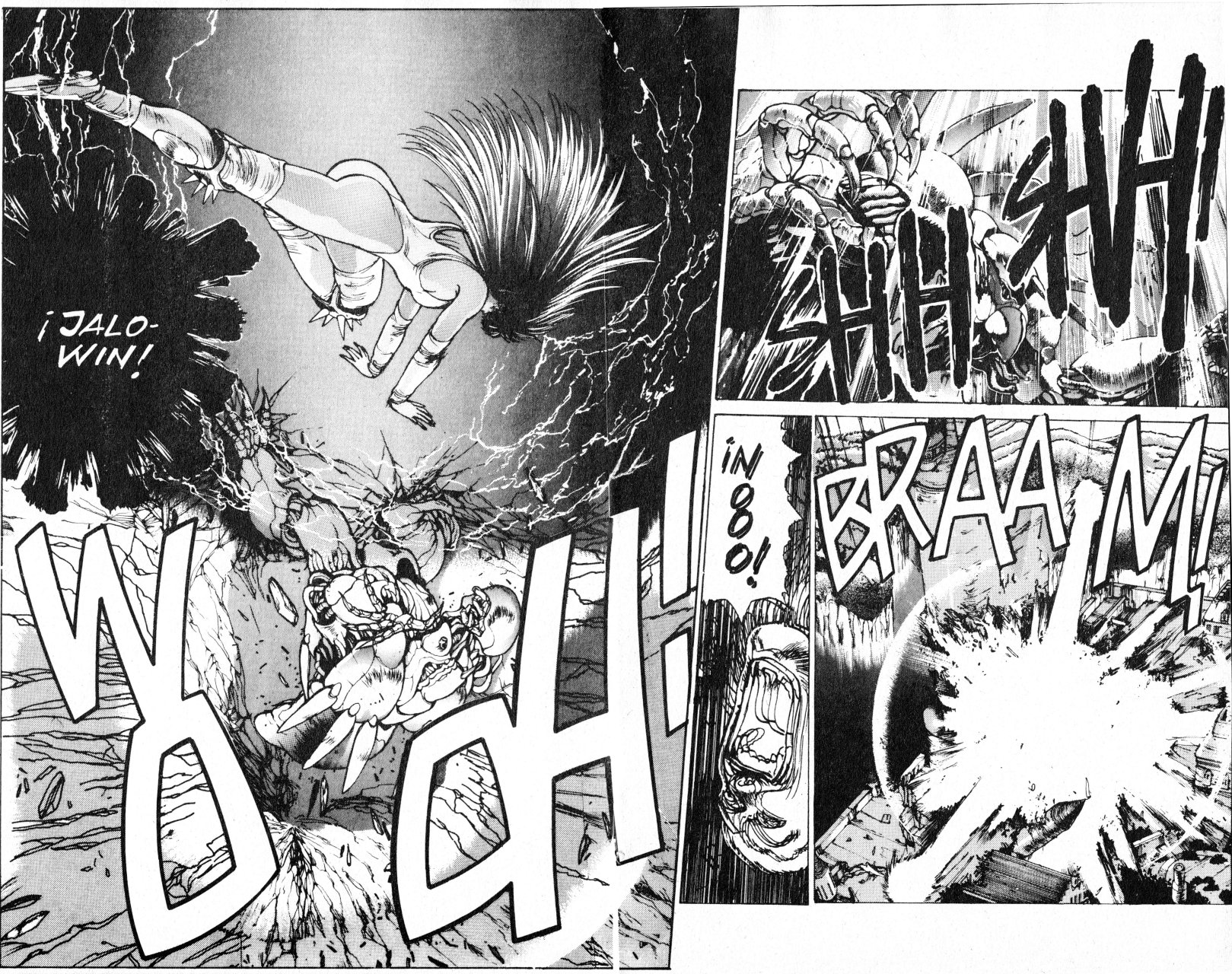 Read Bastard!! ES Manga Online