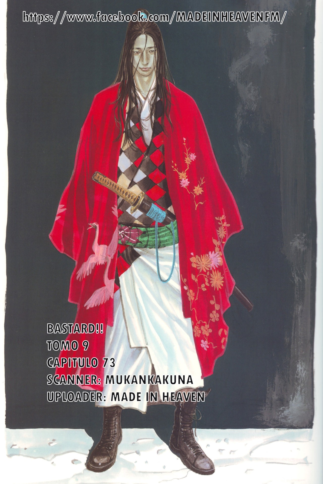 Read Bastard!! ES Manga Online