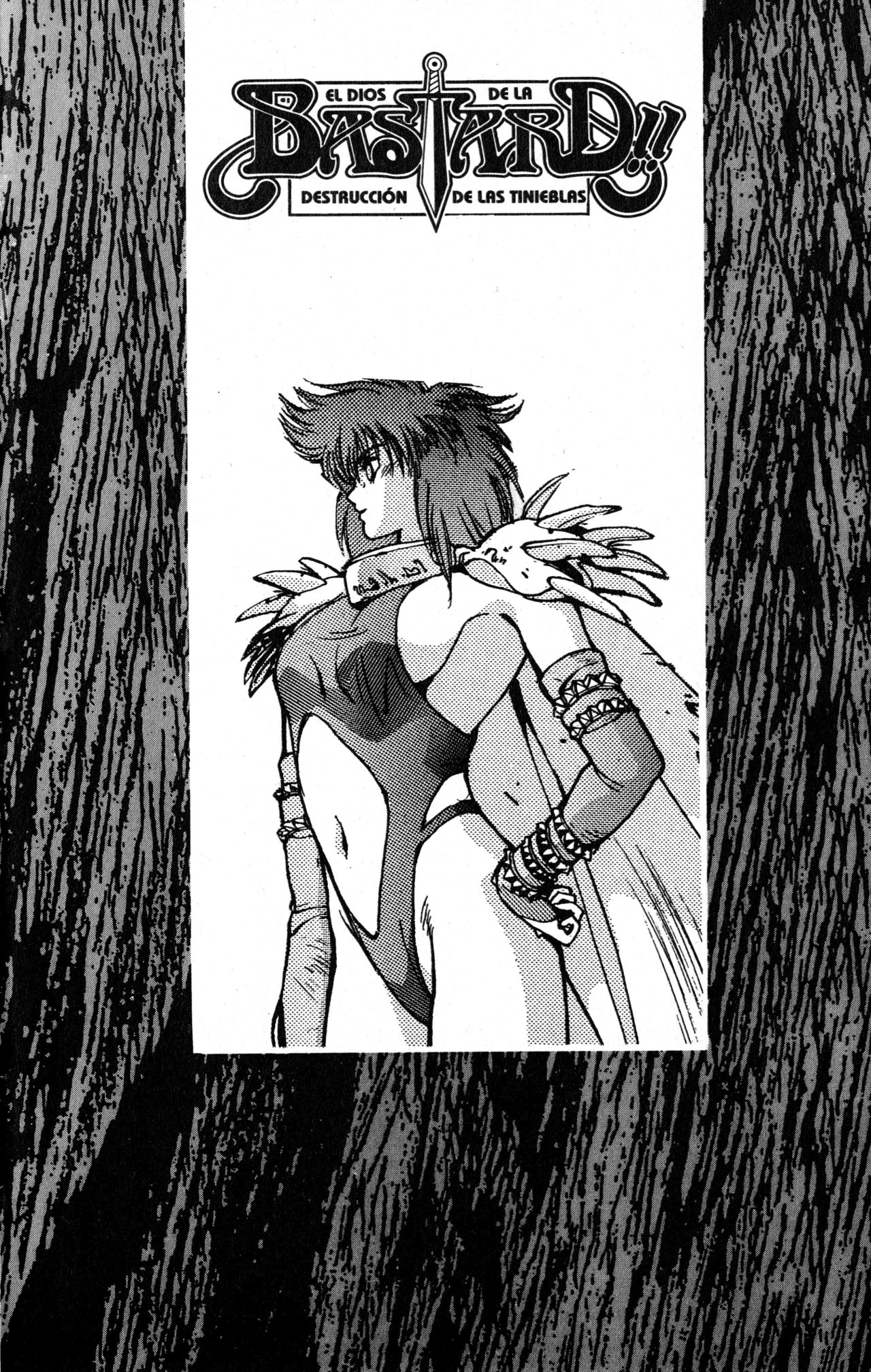 Read Bastard!! ES Manga Online