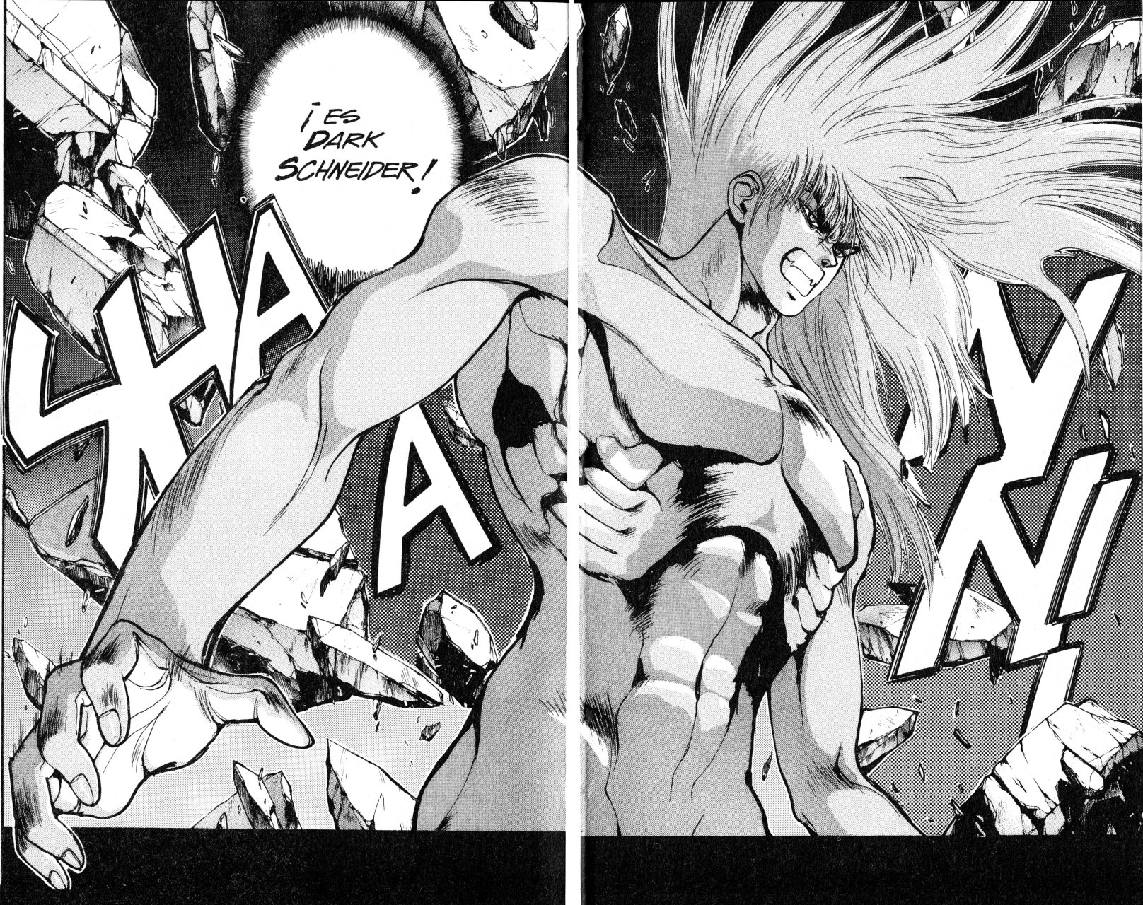 Read Bastard!! ES Manga Online