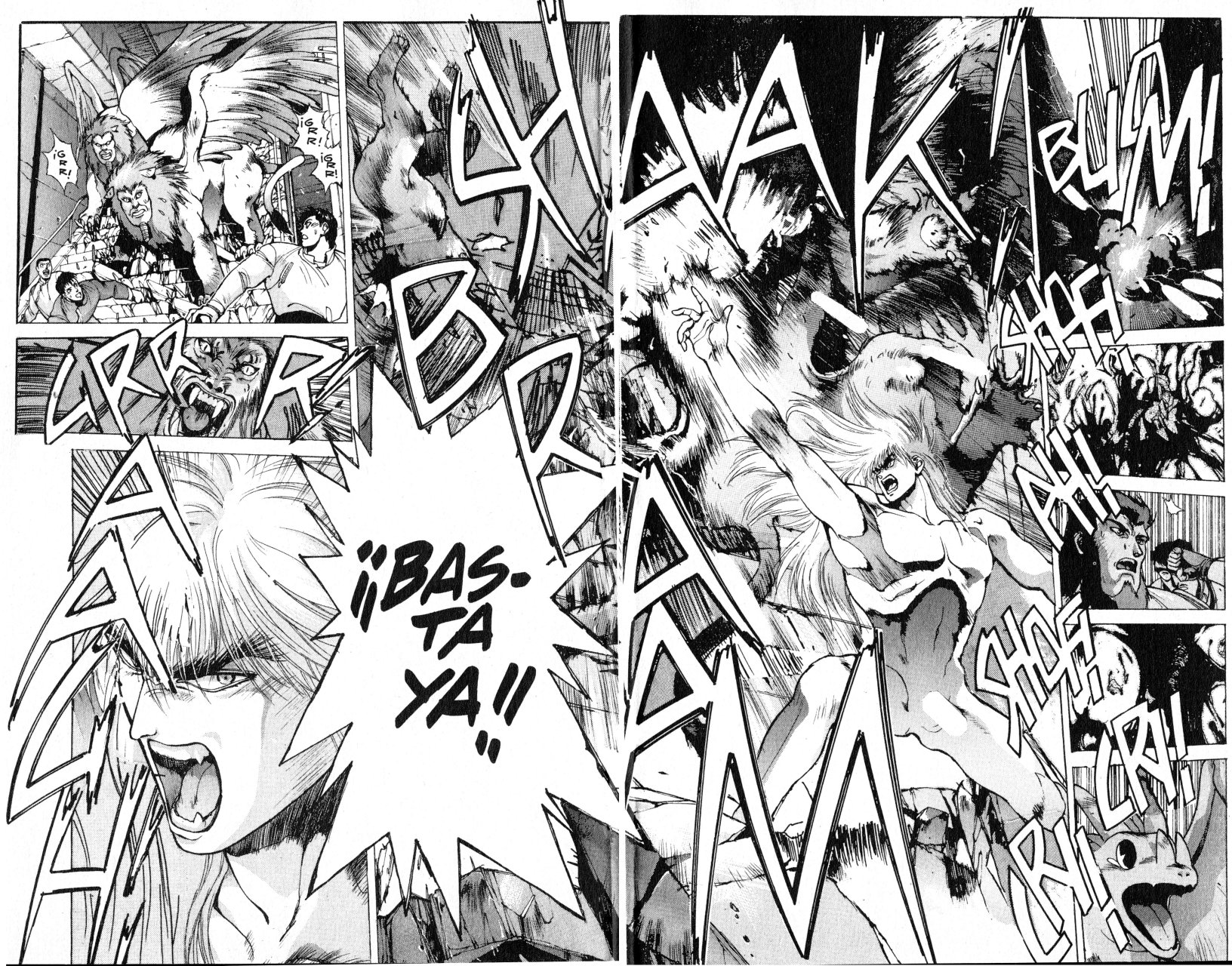 Read Bastard!! ES Manga Online