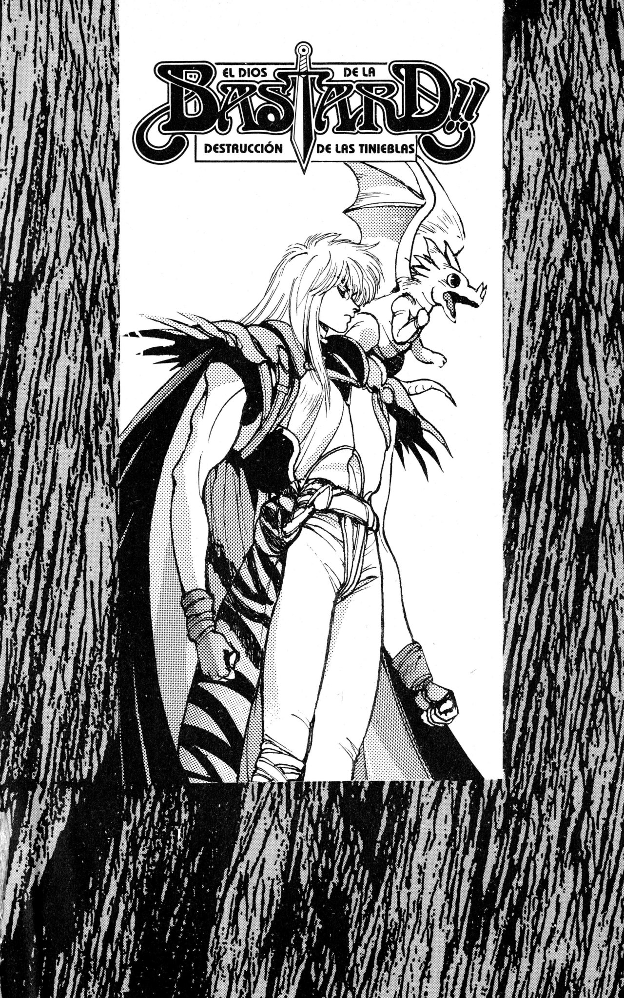 Read Bastard!! ES Manga Online