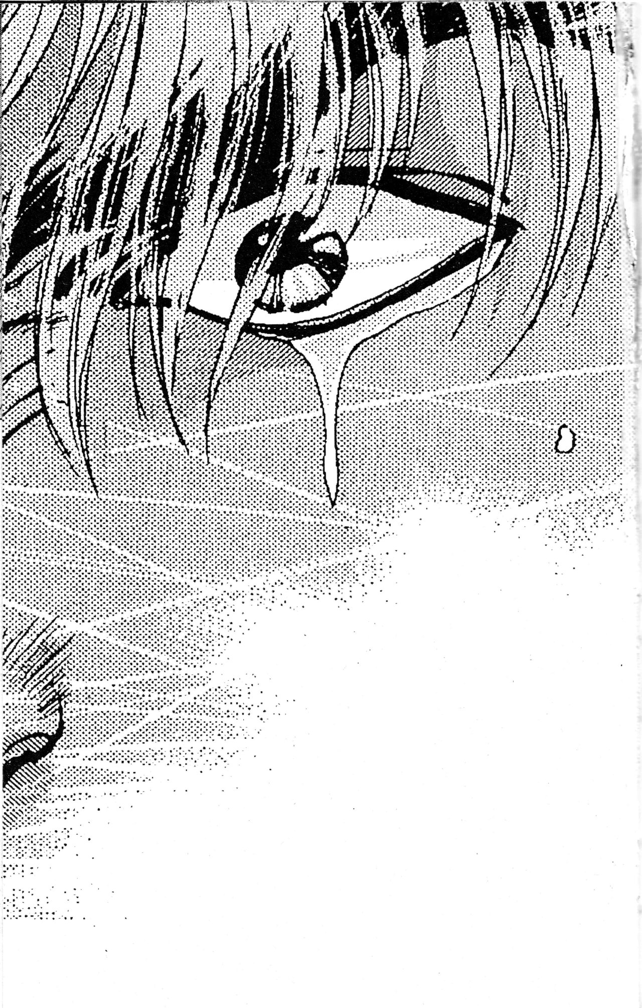Read Bastard!! ES Manga Online