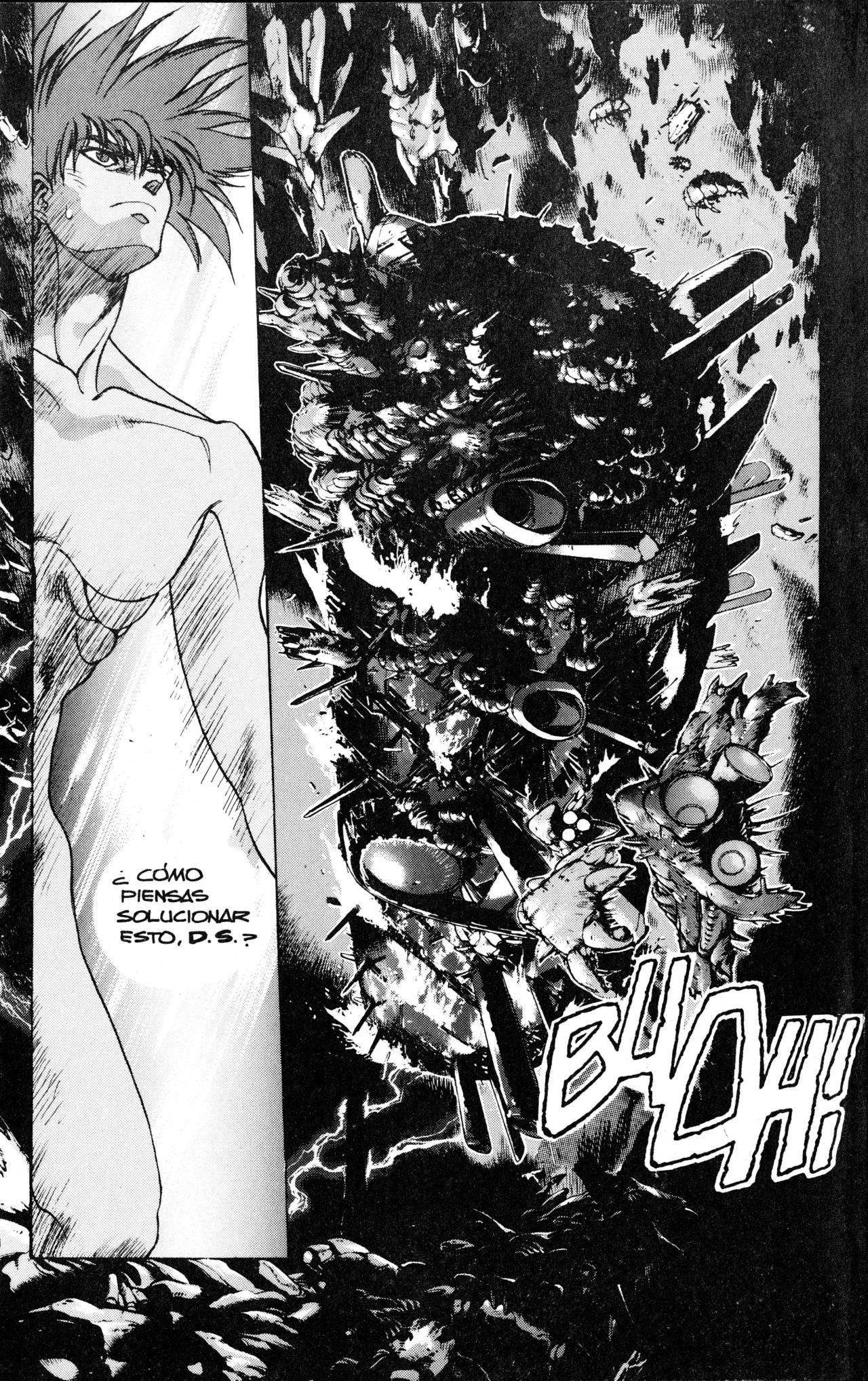 Read Bastard!! ES Manga Online