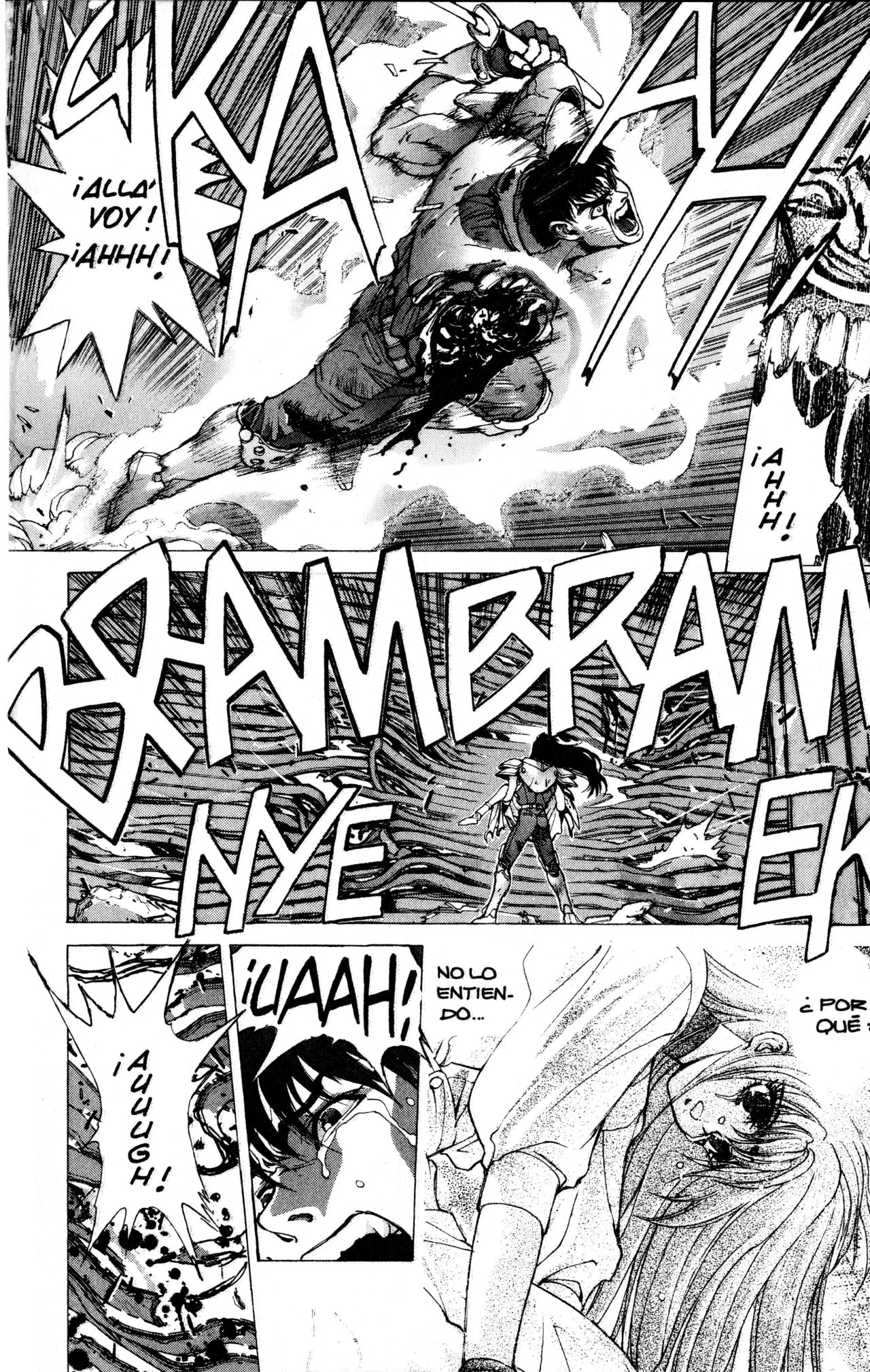 Read Bastard!! ES Manga Online