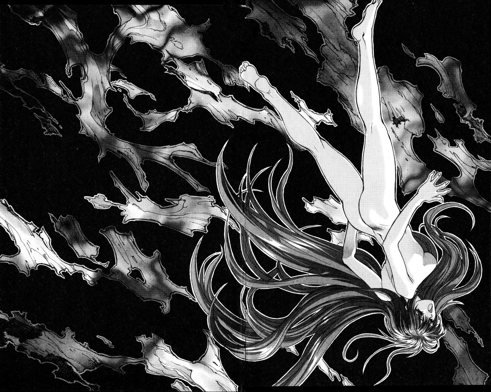 Read Bastard!! ES Manga Online