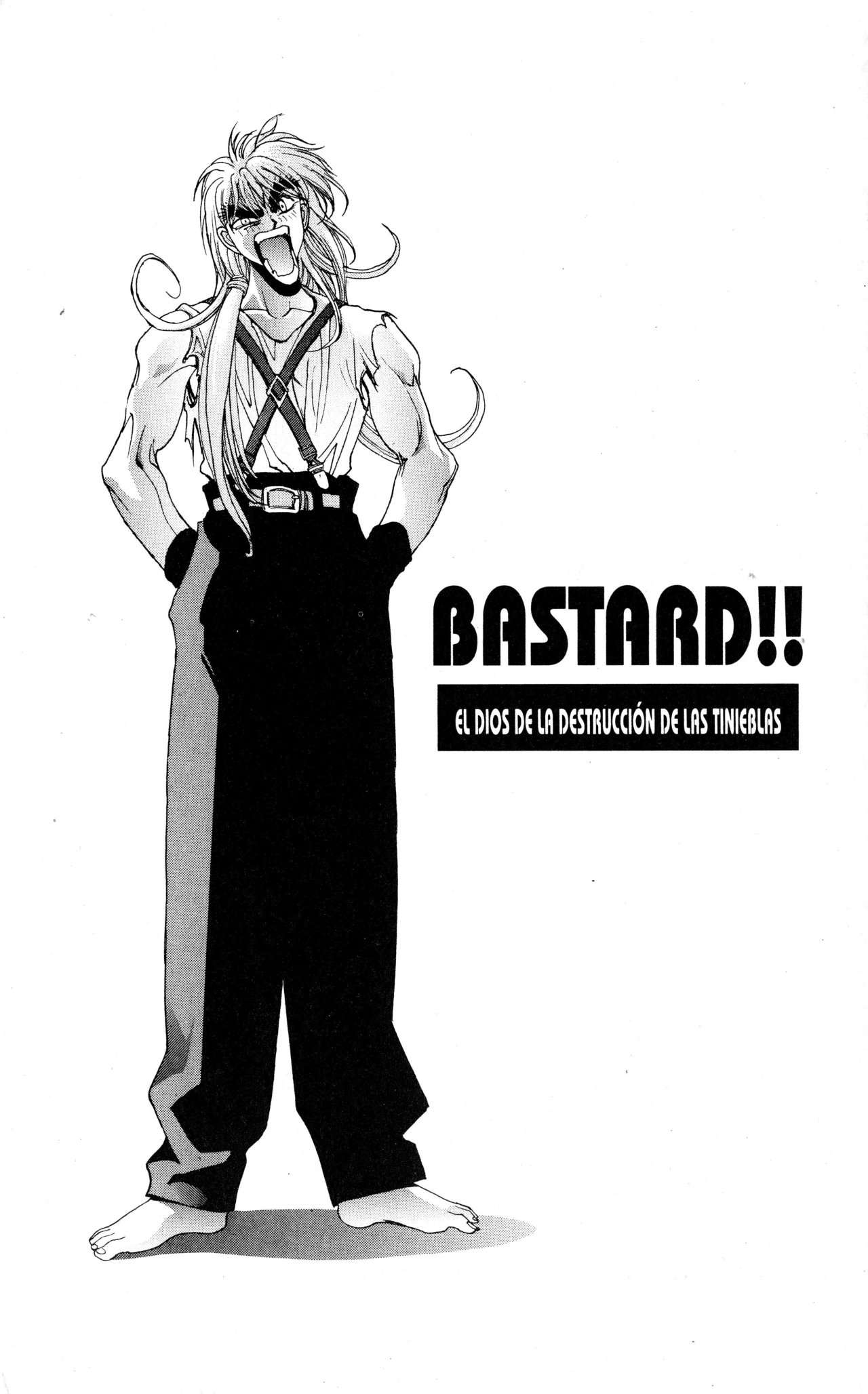 Read Bastard!! ES Manga Online