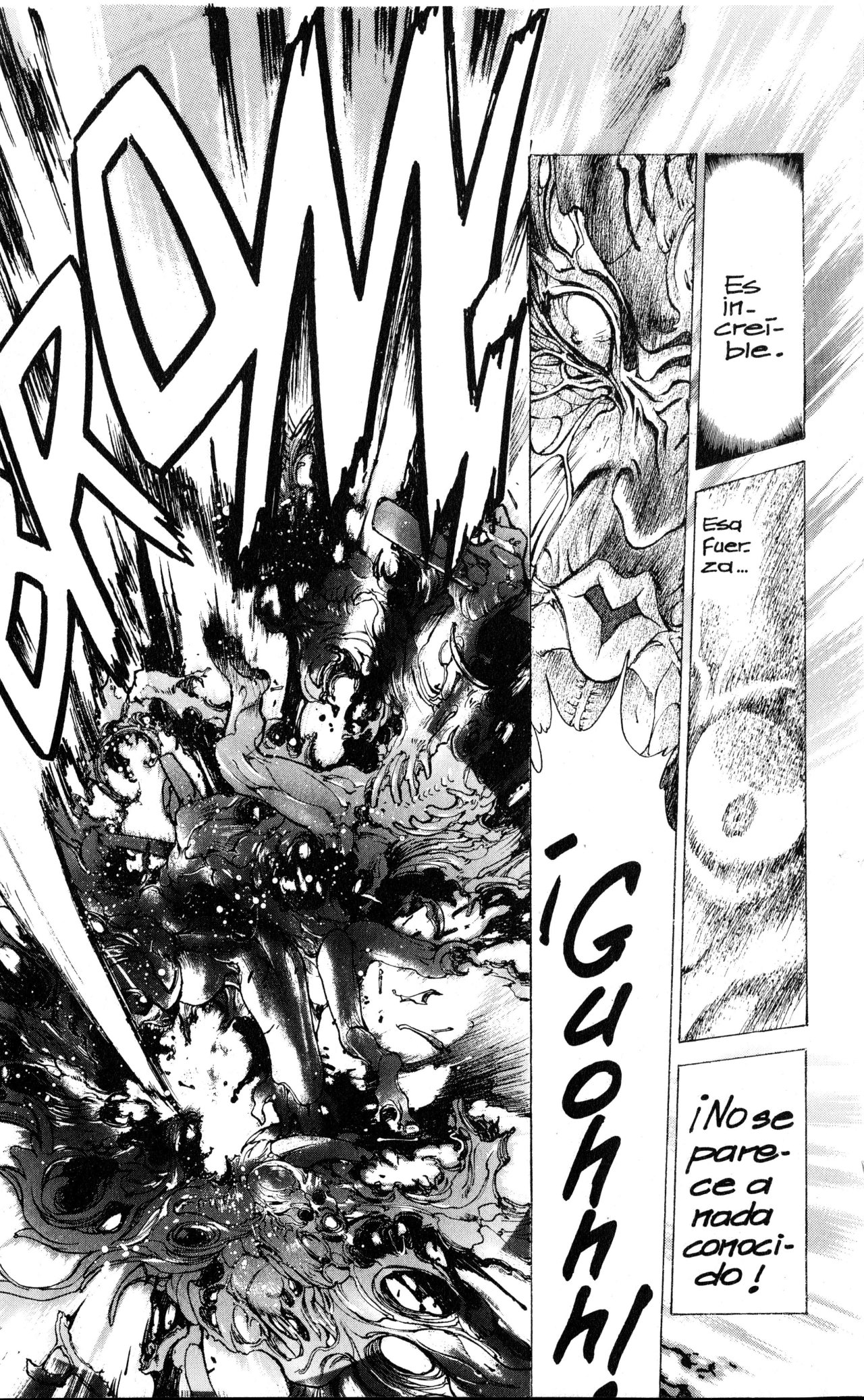 Read Bastard!! ES Manga Online