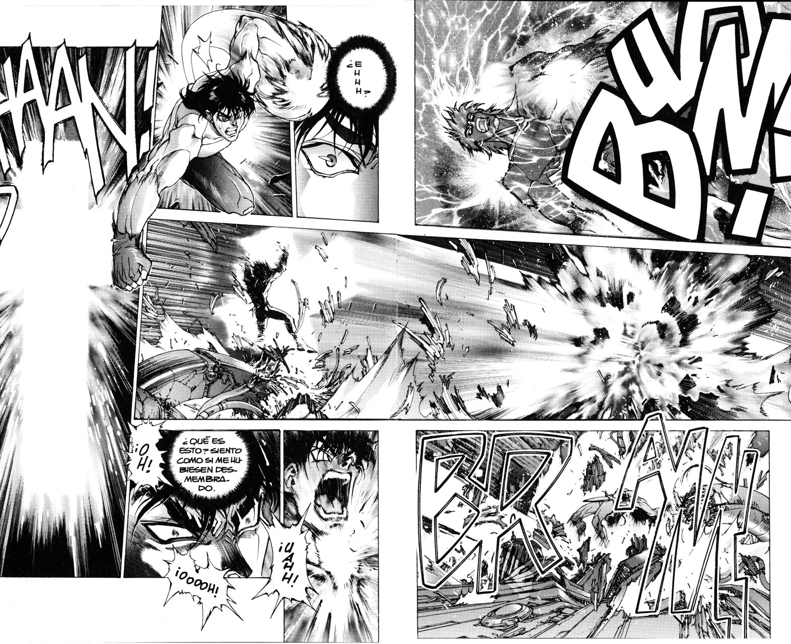Read Bastard!! ES Manga Online