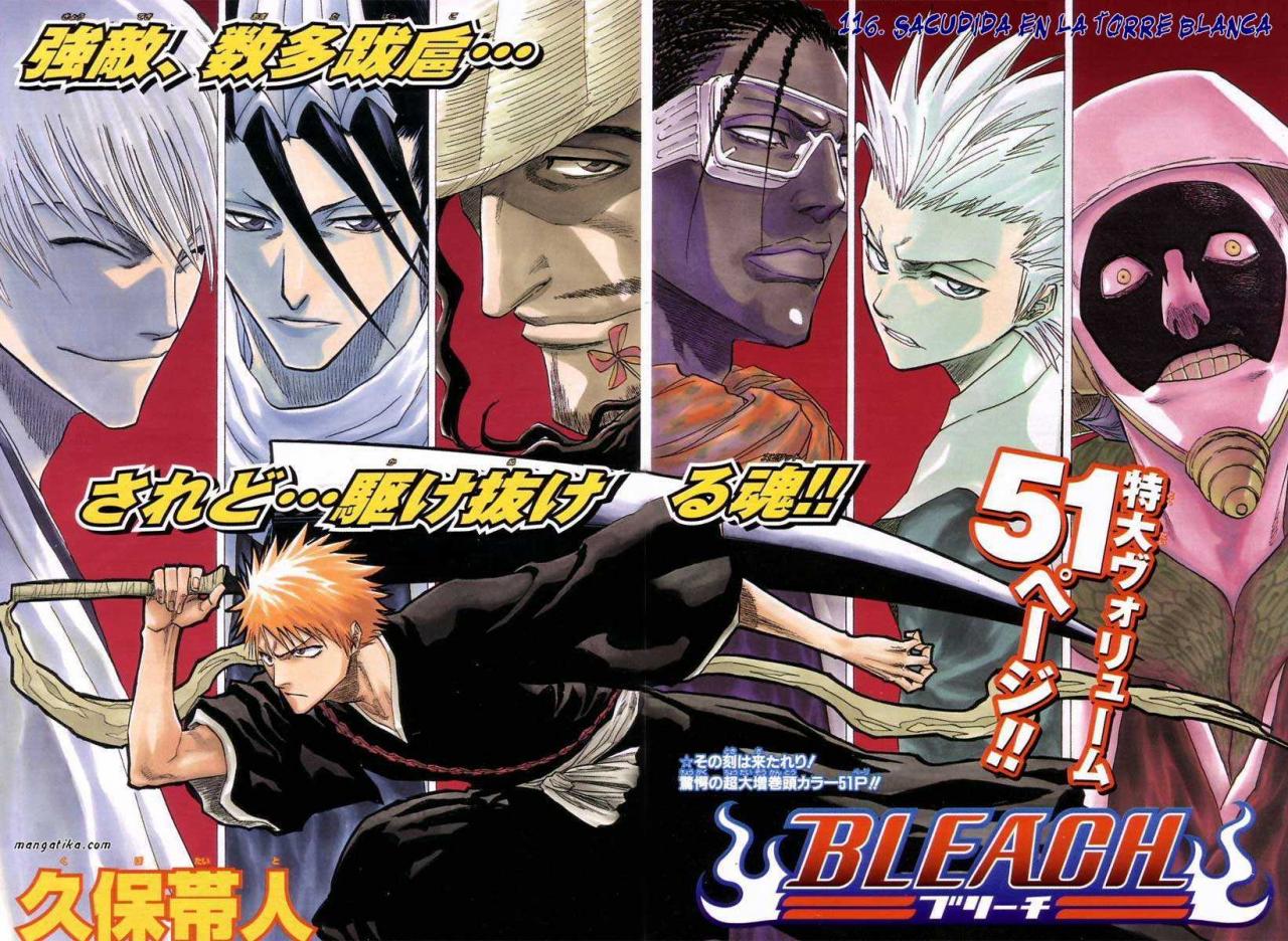 Read Bleach ES Manga Online