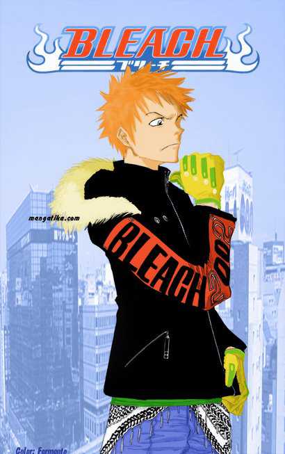 Read Bleach ES Manga Online