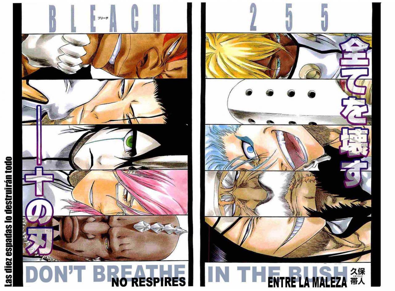 Read Bleach ES Manga Online