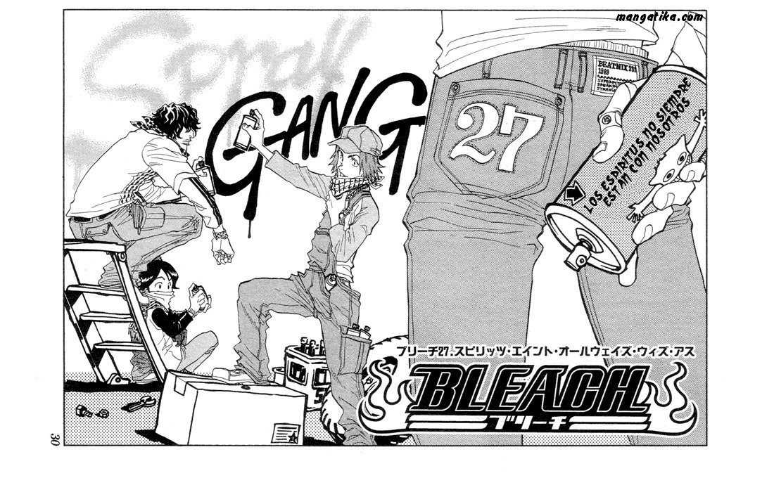 Read Bleach ES Manga Online