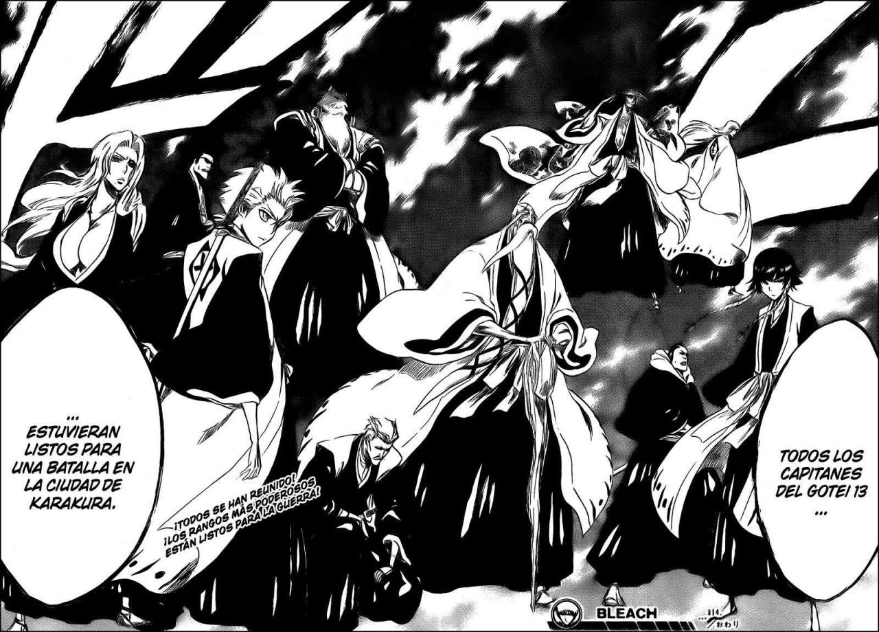Read Bleach ES Manga Online