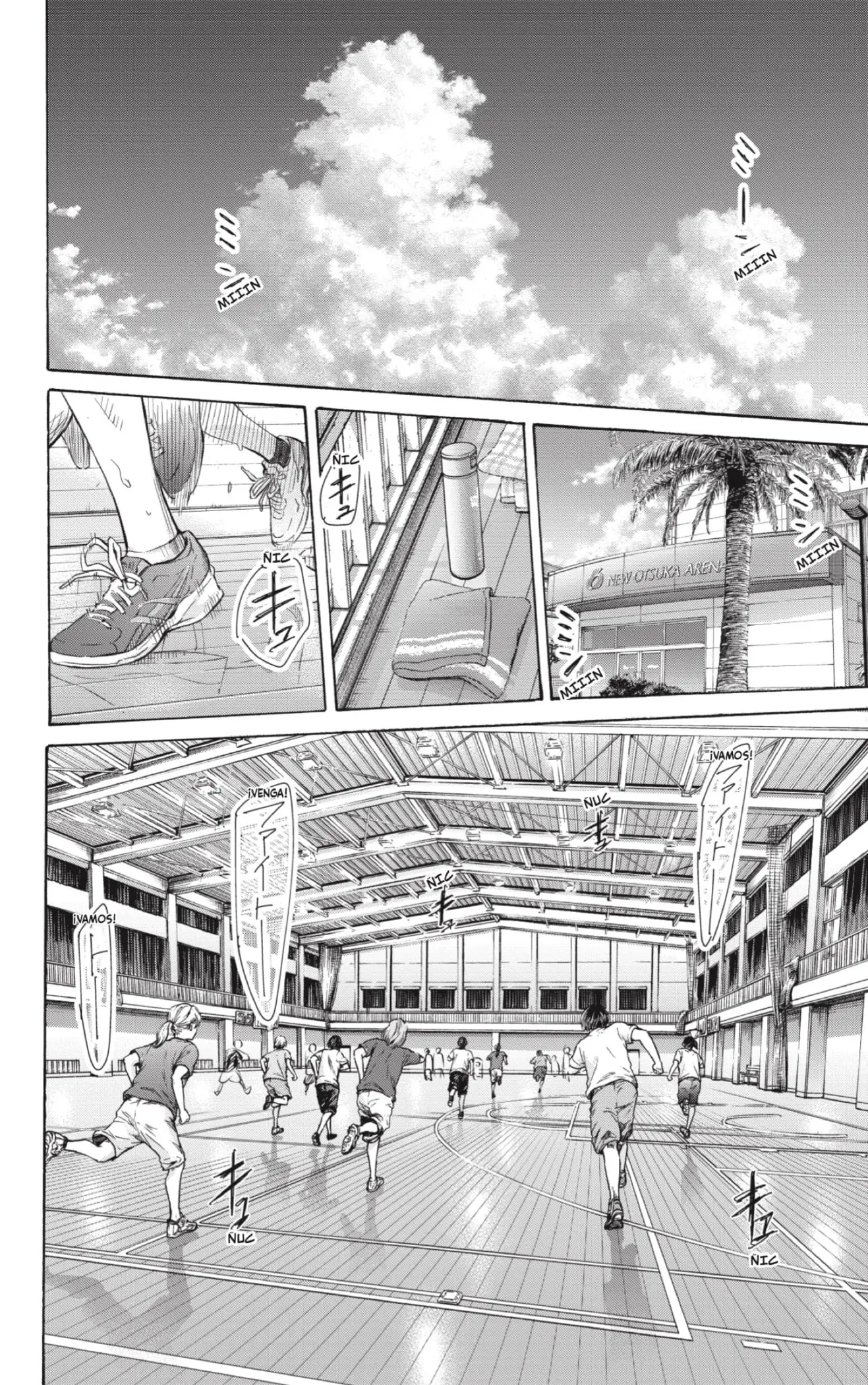 Read Blue Box ES Manga Online