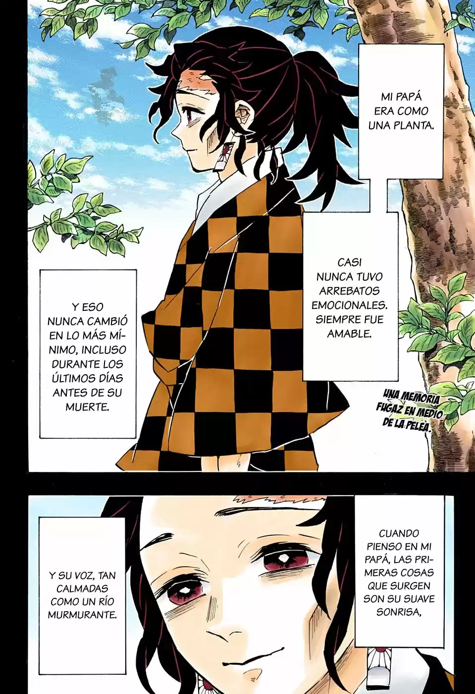 Read Demon Slayer Kimetsu No Yaiba ES Manga Online