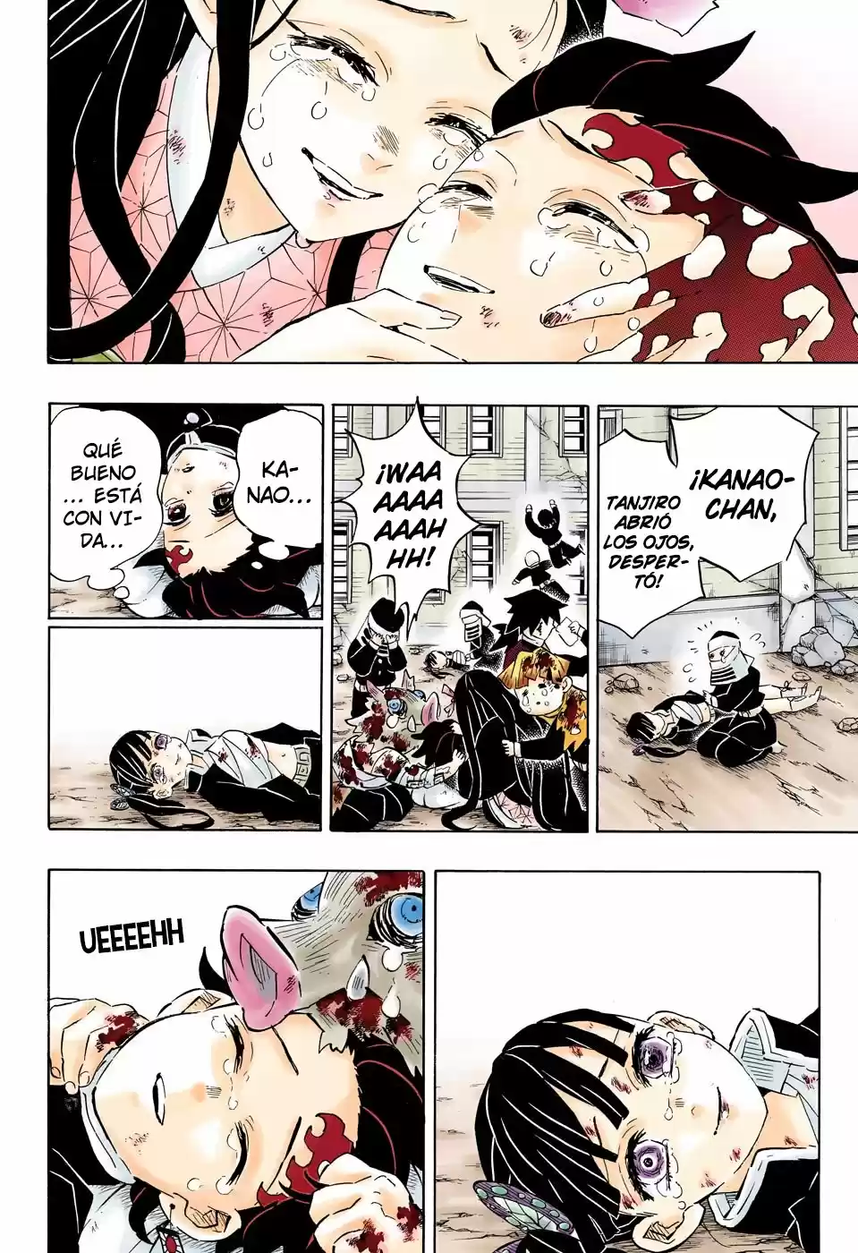 Read Demon Slayer Kimetsu No Yaiba ES Manga Online