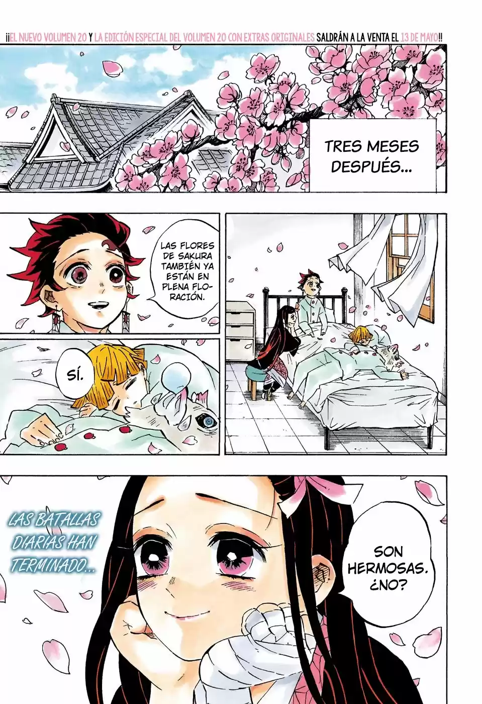 Read Demon Slayer Kimetsu No Yaiba ES Manga Online
