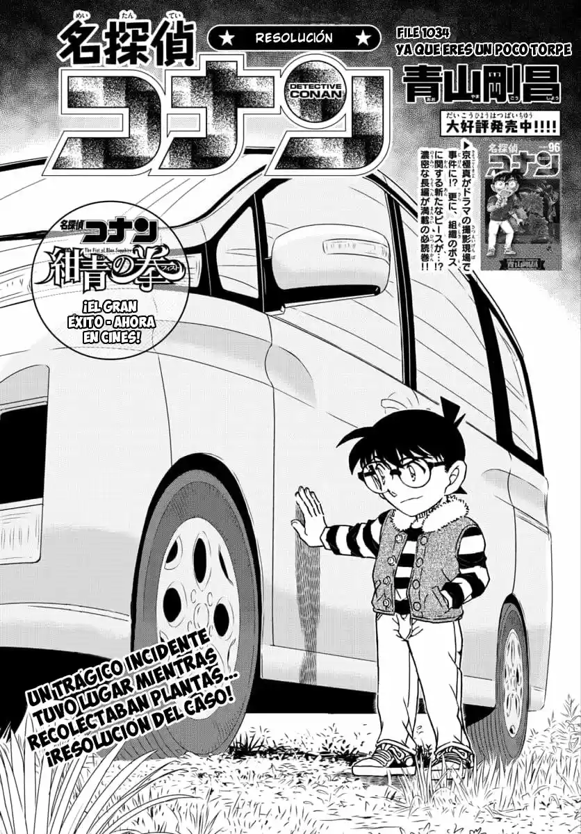 Read Detective Conan ES Manga Online