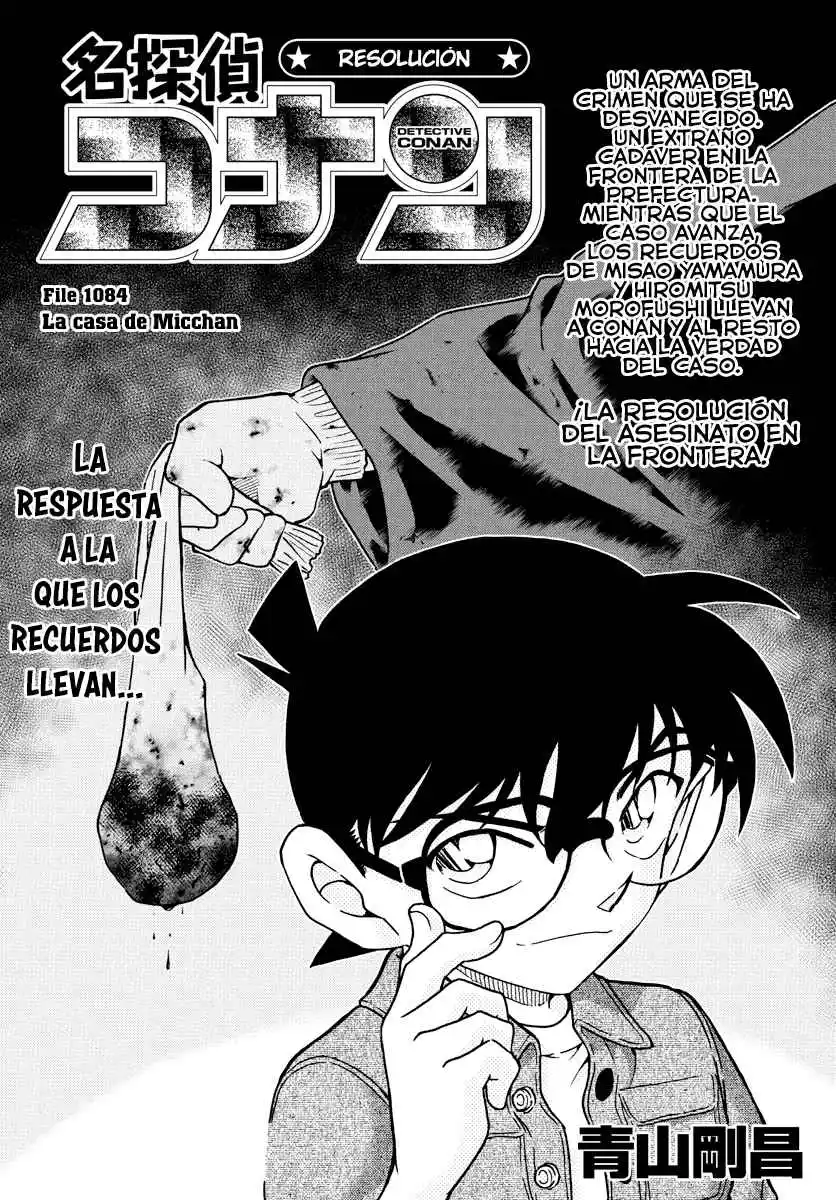 Read Detective Conan ES Manga Online