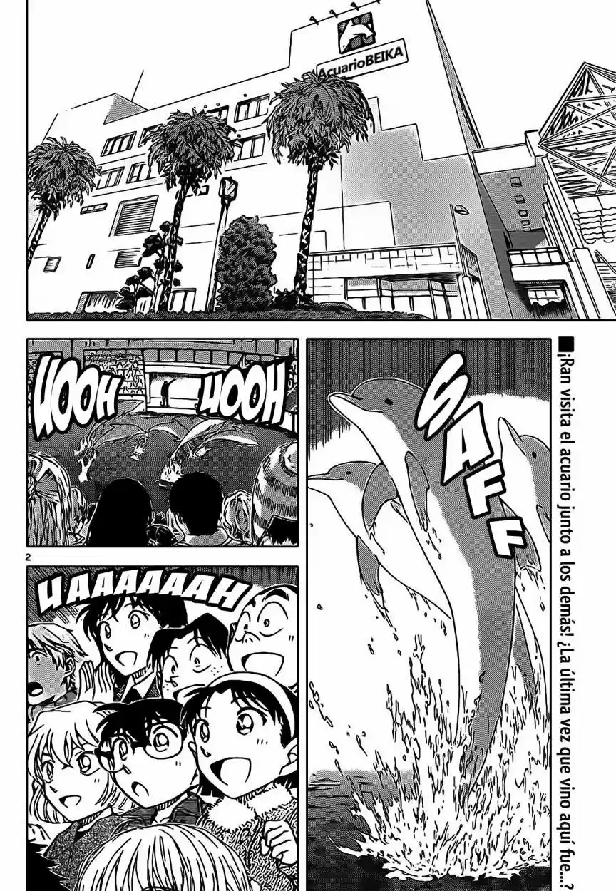 Read Detective Conan ES Manga Online