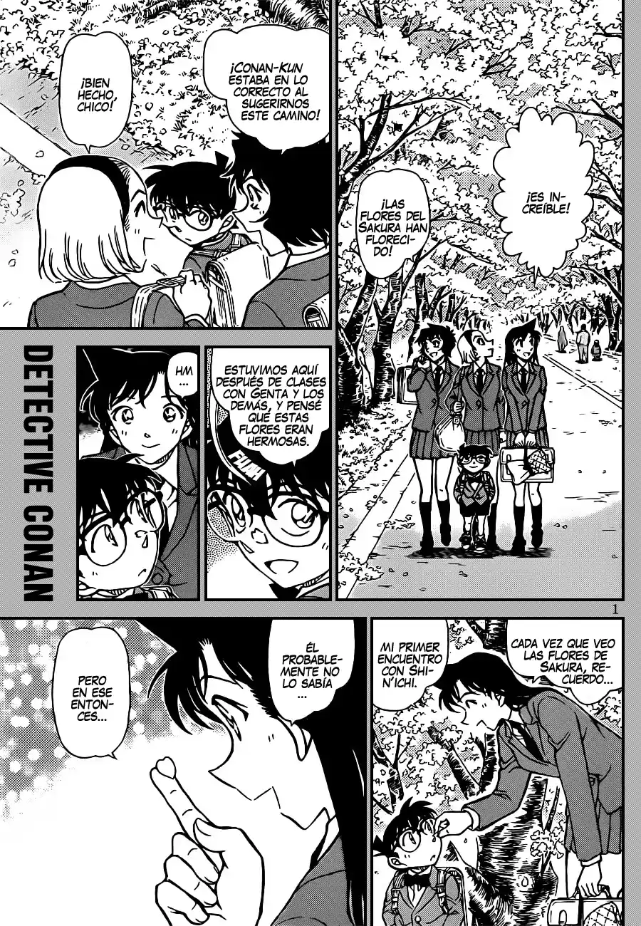 Read Detective Conan ES Manga Online