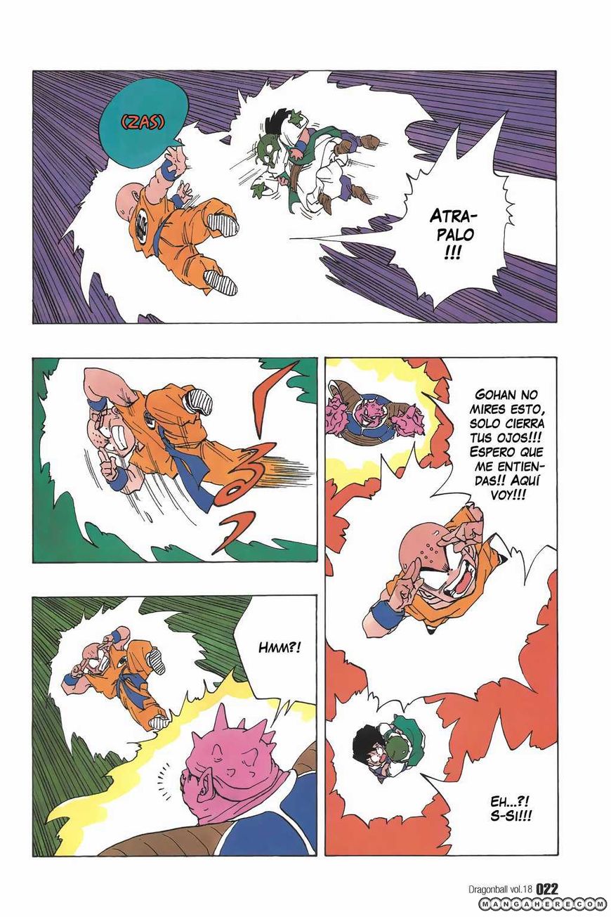 Read Dragon Ball ES Manga Online