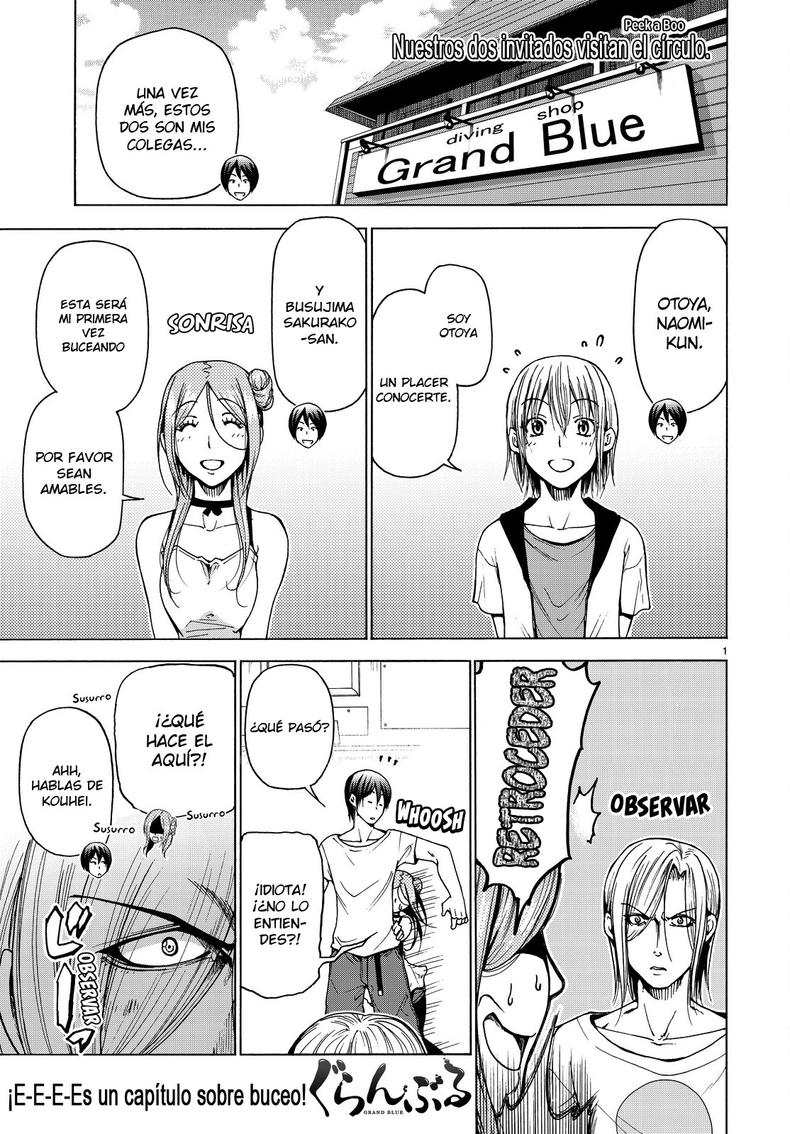 Read Grand Blue ES Manga Online