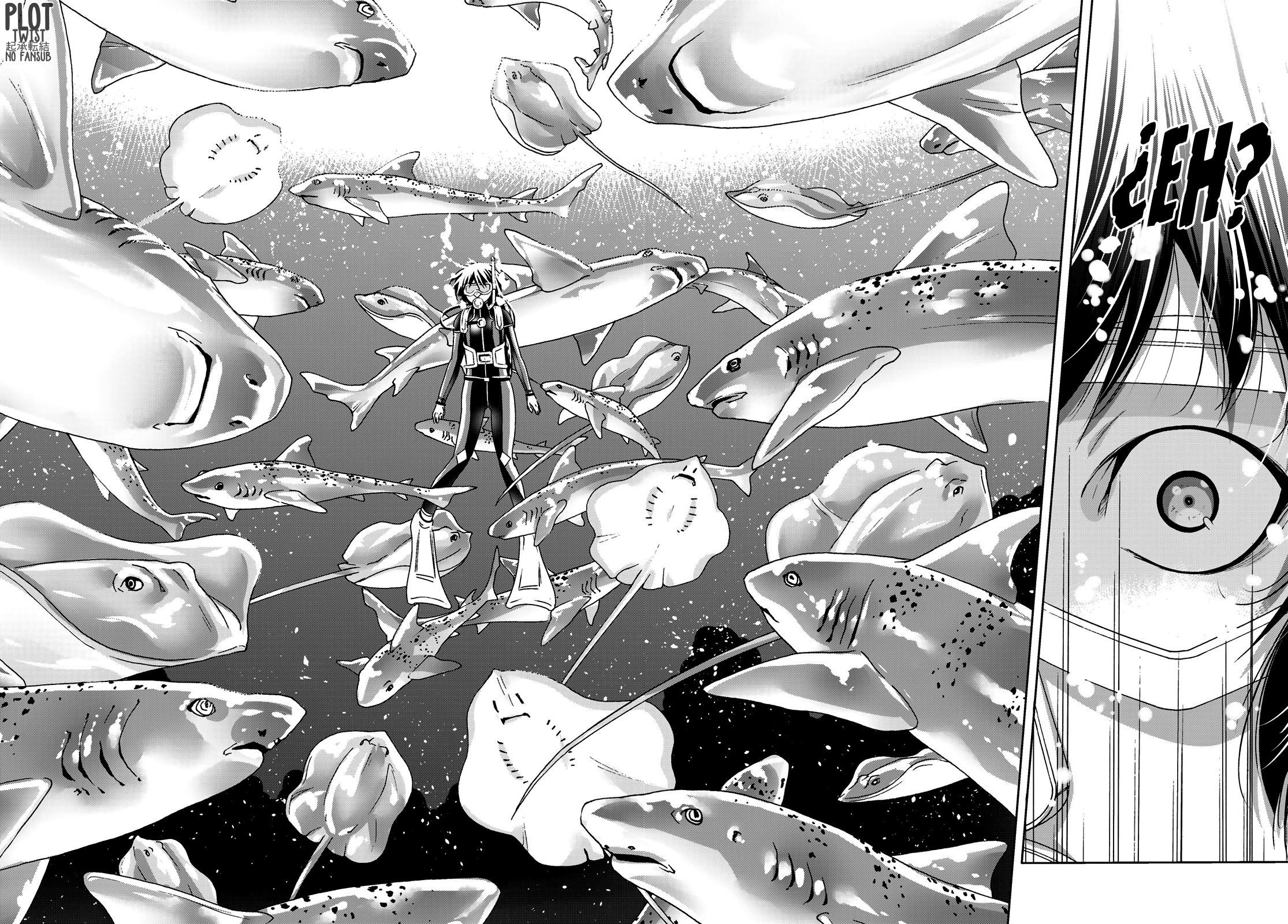 Read Grand Blue ES Manga Online