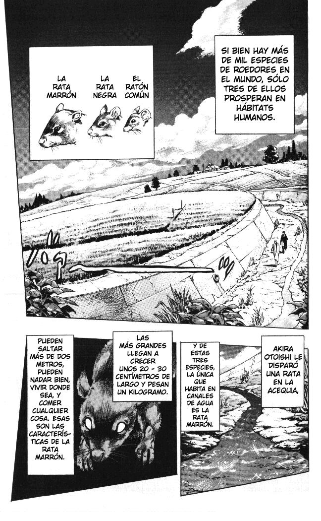 Read JoJo's Bizarre Adventure Parte 4 Diamond Is Unbreakable ES Manga Online