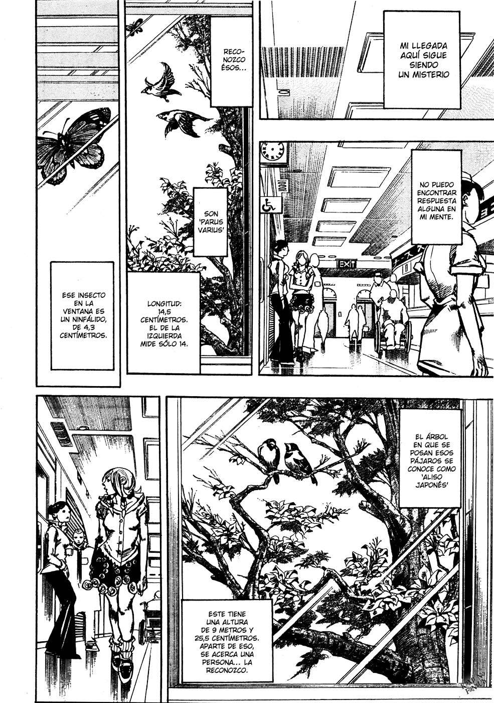 Read JoJo's Bizarre Adventure Parte 8 JoJolion ES Manga Online