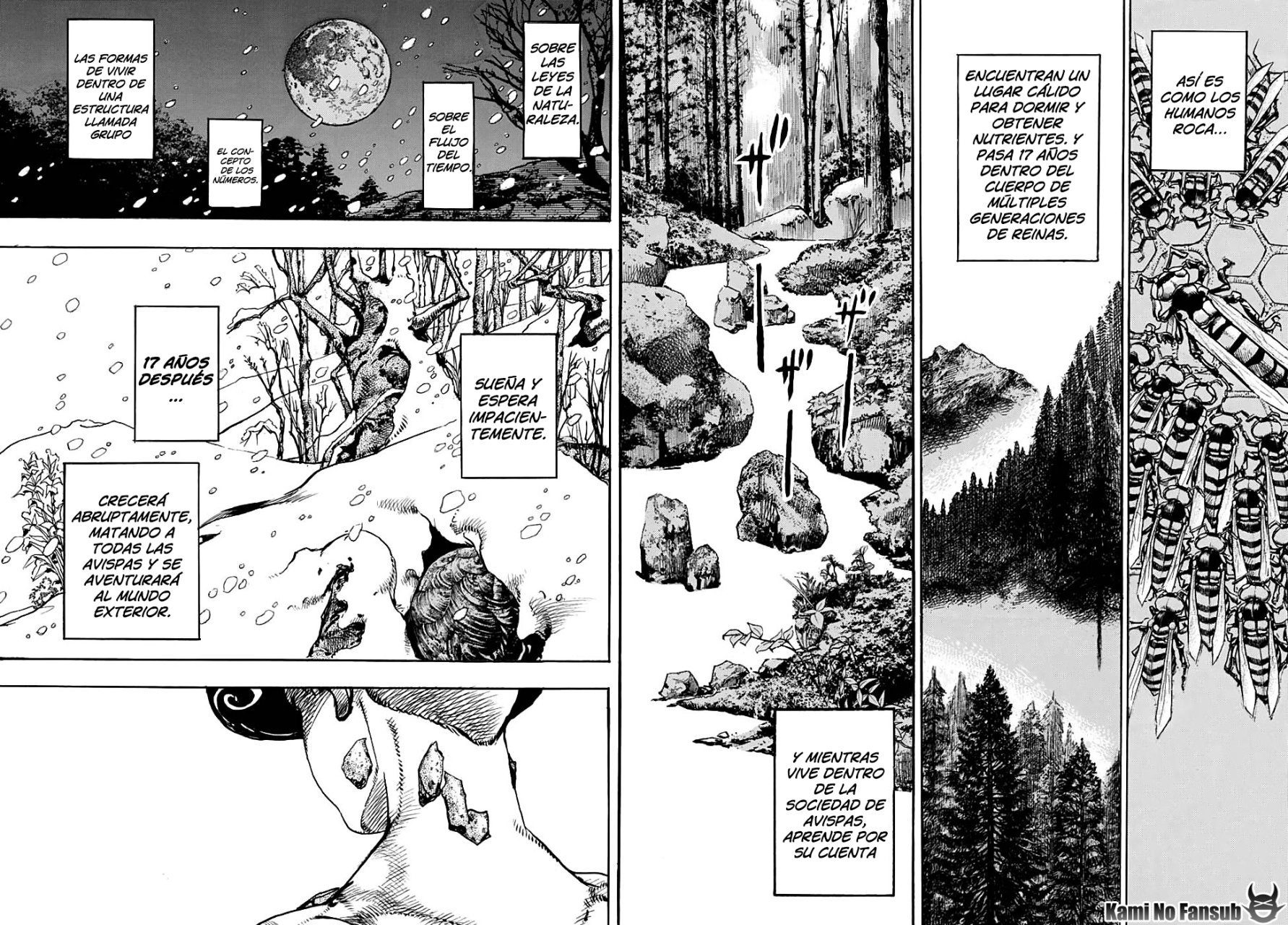 Read JoJo's Bizarre Adventure Parte 8 JoJolion ES Manga Online