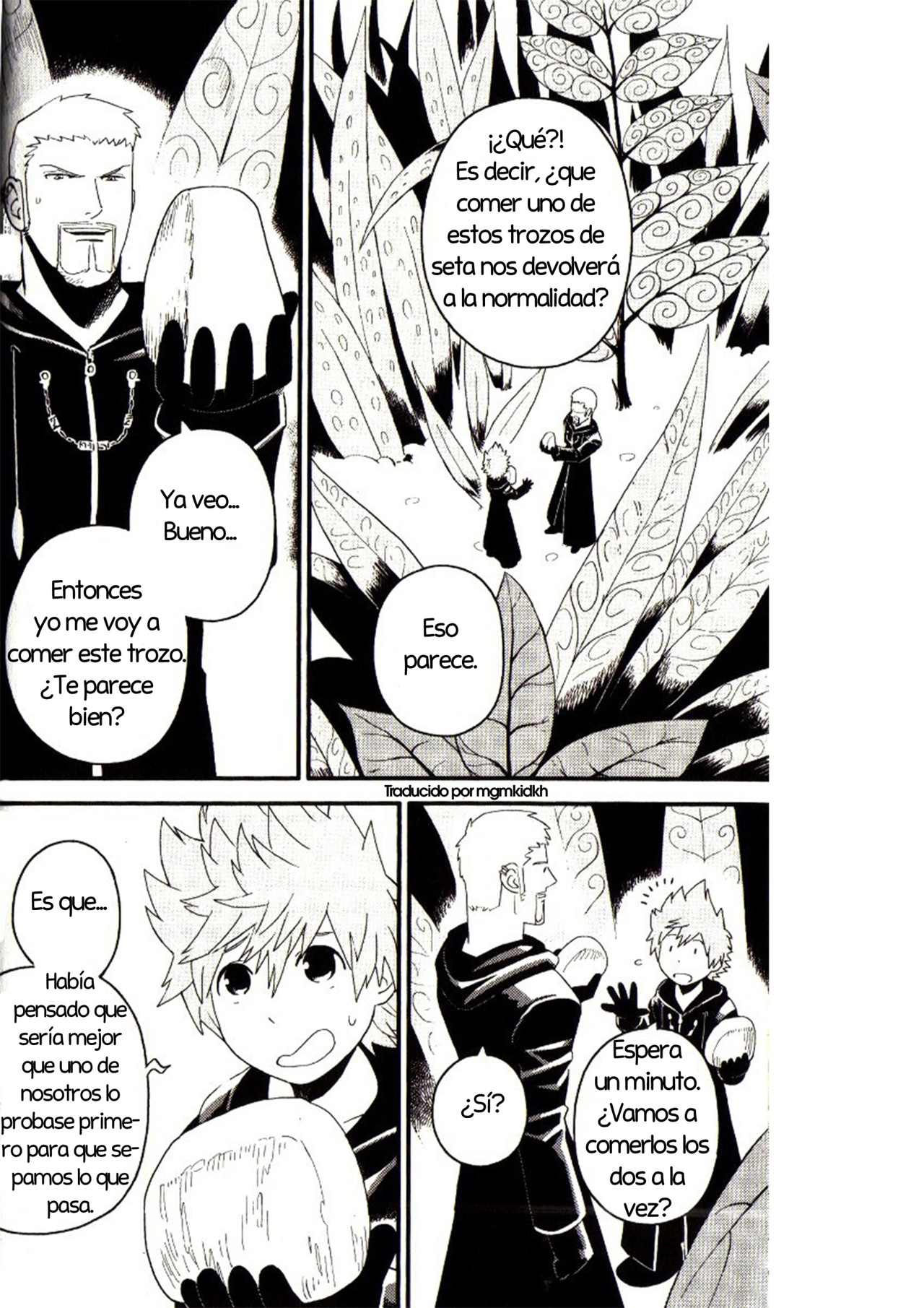 Read Kingdom Hearts 3582 Days ES Manga Online