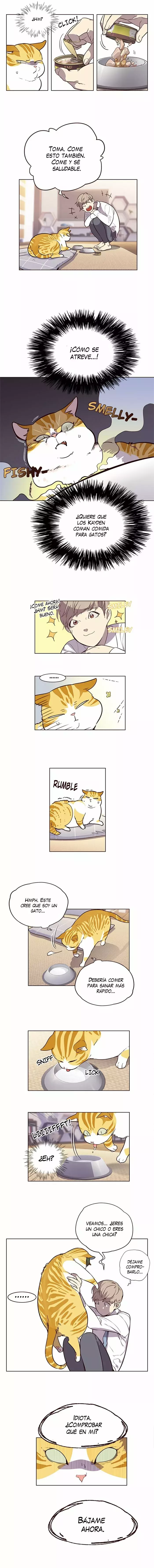 Read Lightning Degree ES Manga Online