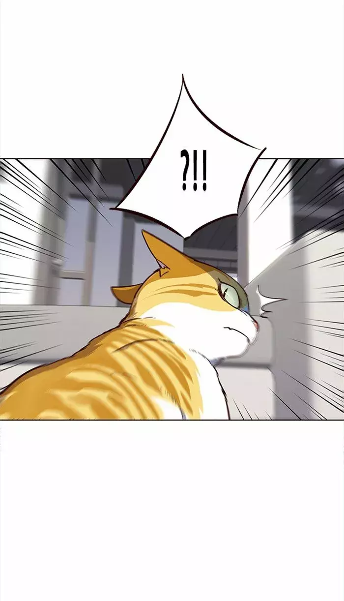 Read Lightning Degree ES Manga Online