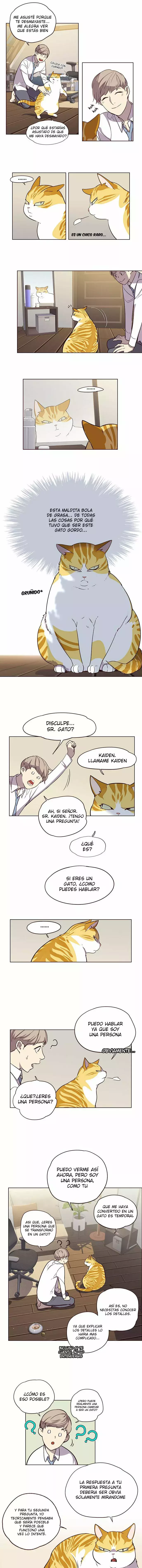 Read Lightning Degree ES Manga Online