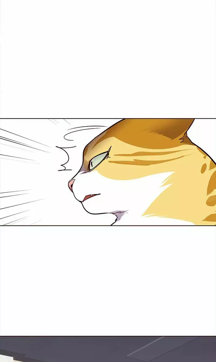 Read Lightning Degree ES Manga Online