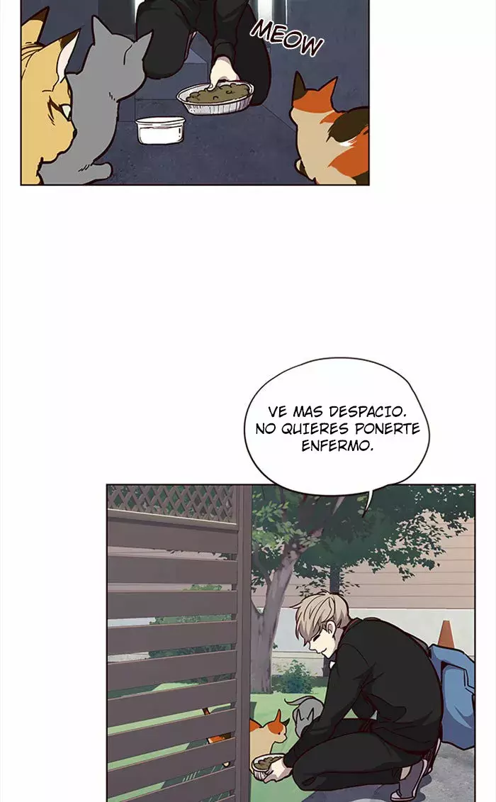 Read Lightning Degree ES Manga Online