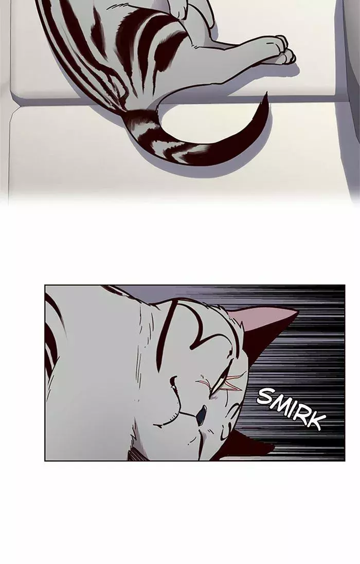 Read Lightning Degree ES Manga Online
