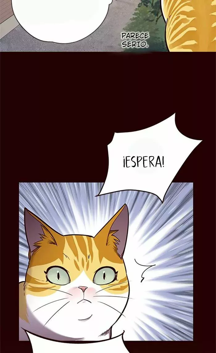 Read Lightning Degree ES Manga Online
