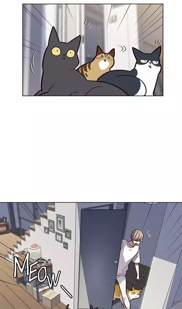 Read Lightning Degree ES Manga Online